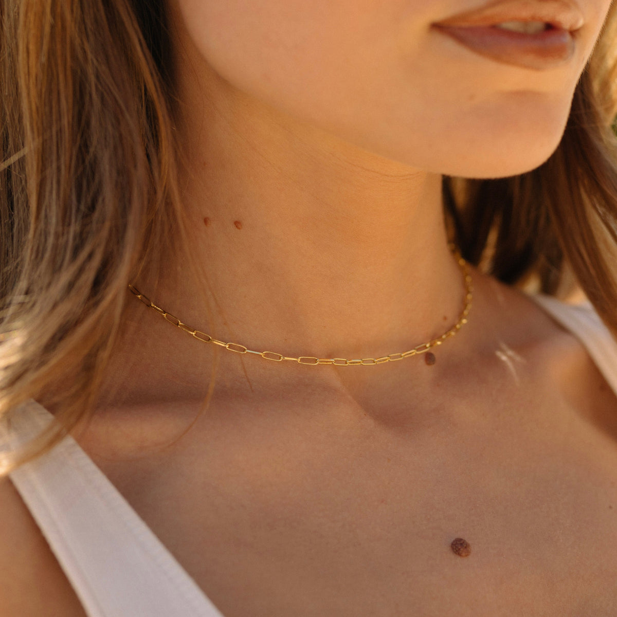 Paperclip Necklace