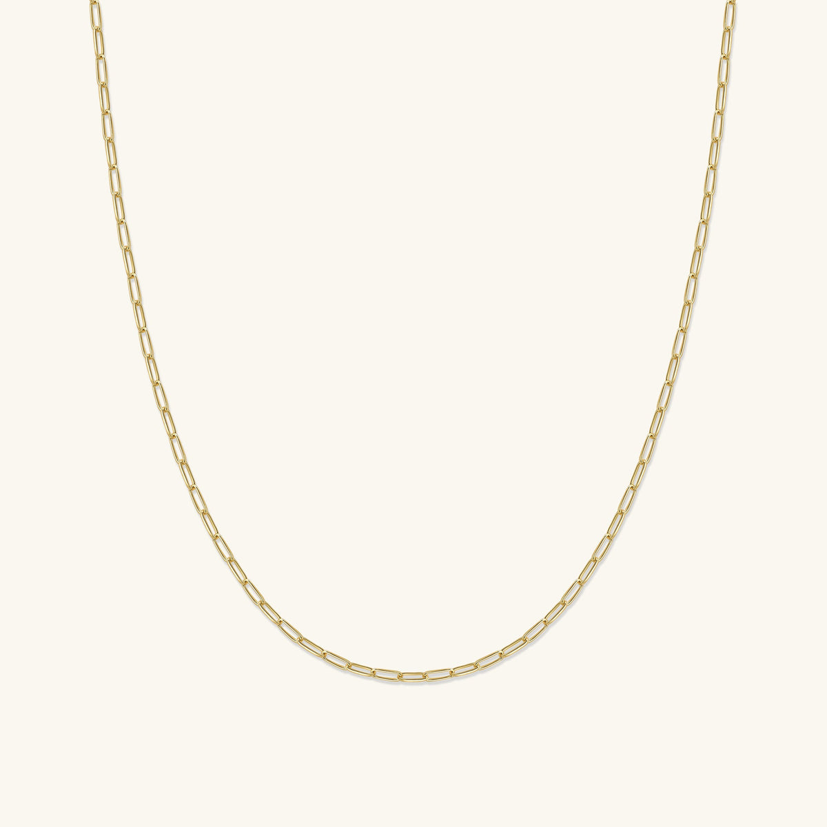 Paperclip Necklace